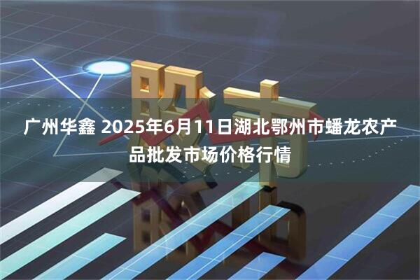 广州华鑫 2025年6月11日湖北鄂州市蟠龙农产品批发市场价格行情