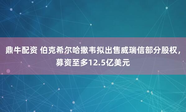 鼎牛配资 伯克希尔哈撒韦拟出售威瑞信部分股权，募资至多12.5亿美元