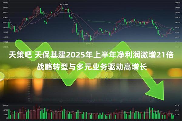 天策吧 天保基建2025年上半年净利润激增21倍 战略转型与多元业务驱动高增长