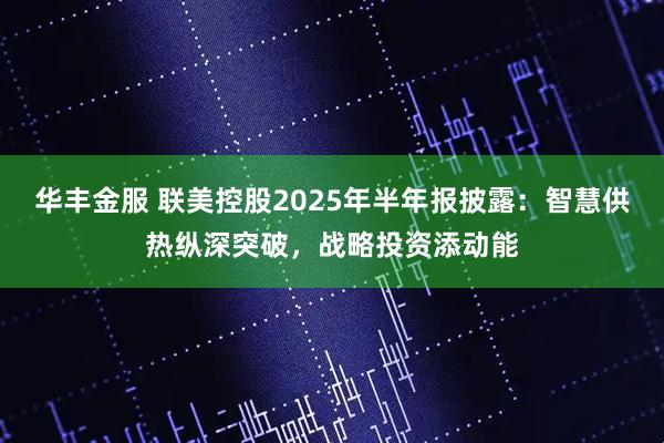华丰金服 联美控股2025年半年报披露：智慧供热纵深突破，战略投资添动能