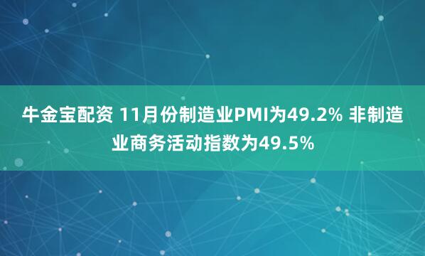 牛金宝配资 11月份制造业PMI为49.2% 非制造业商务活动指数为49.5%